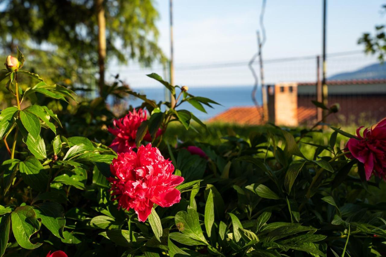 Apartment Stella Marina Rabac Exterior foto
