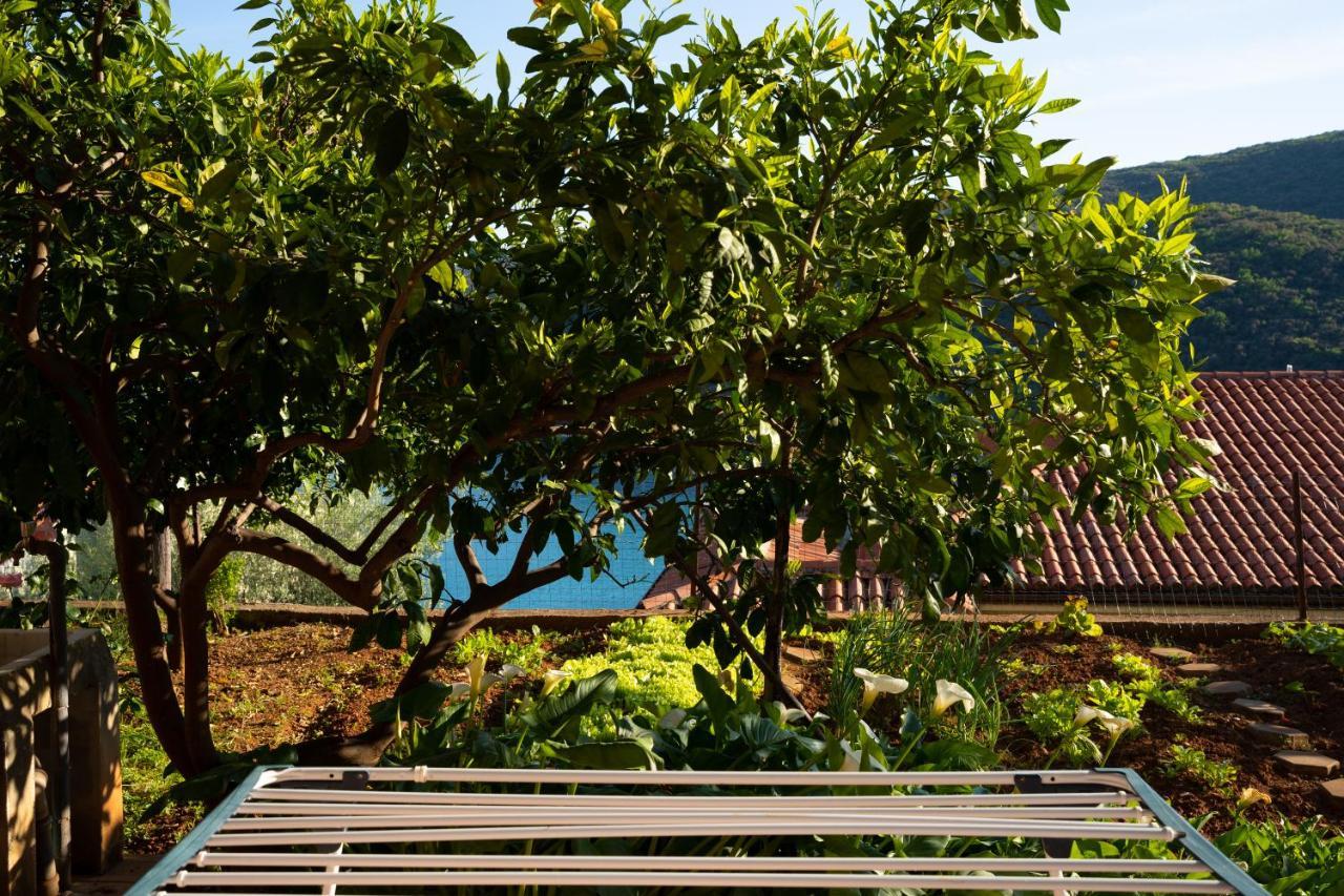 Apartment Stella Marina Rabac Exterior foto